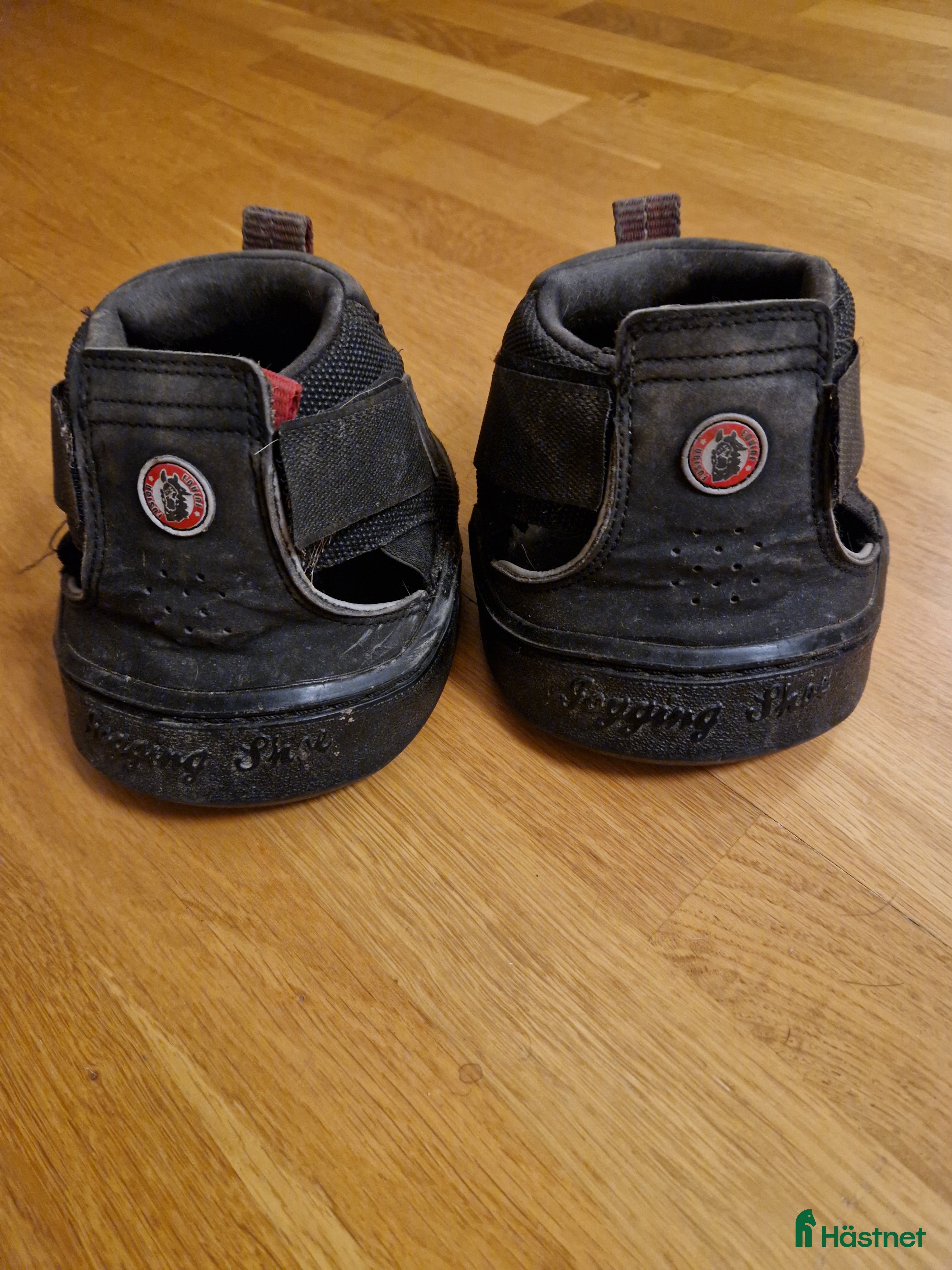 Övrig Hästutrustning hästutrustning Boots - Annons 2