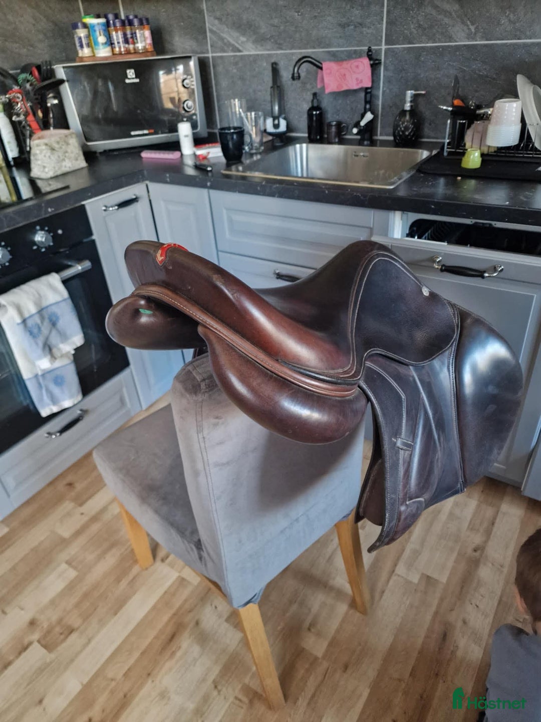 Sadlar hästutrustning till salu: Equipe sadel i Osby - Annons 3