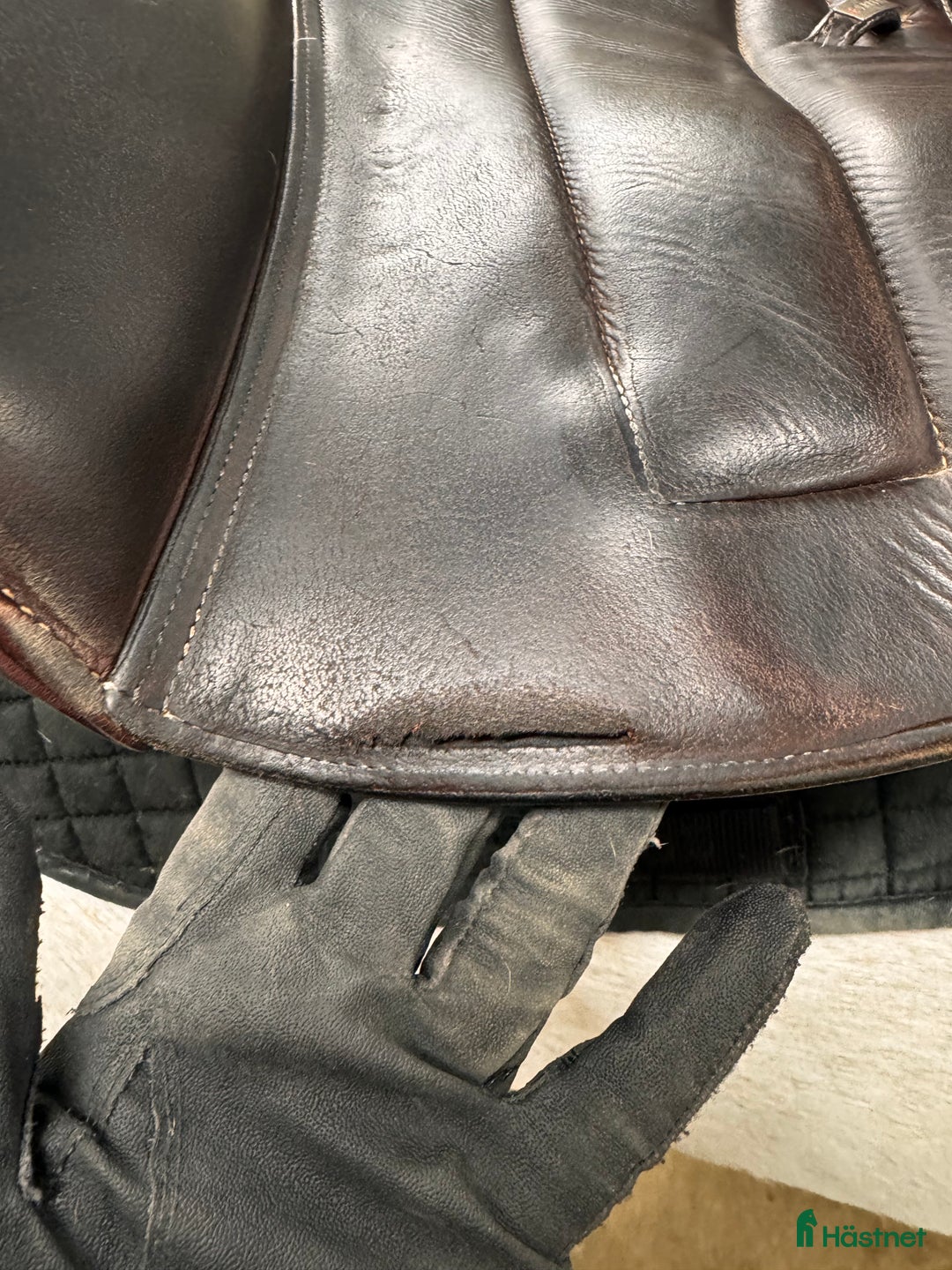 Sadlar hästutrustning till salu: Equipe, Special One i Hammarstrand - Annons 3