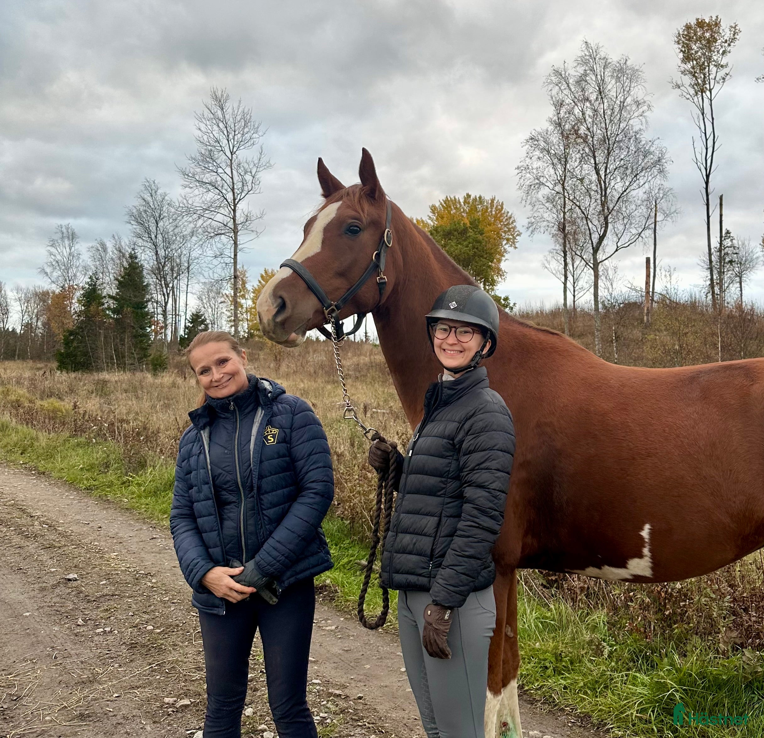  medryttarhäst finnes: Hoppryttare sökes till unghäst - Annons 9