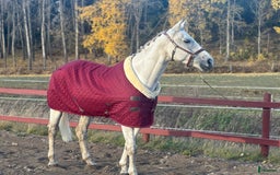  stallplats finnes: 🌺Aspvik 🐎 i Kungsängen - Annons 10