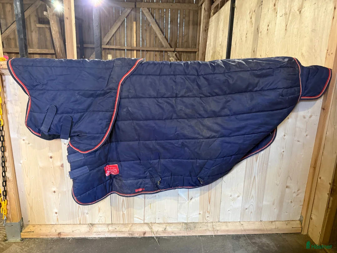 Täcken hästutrustning till salu: Shires och Dyón - Annons 2