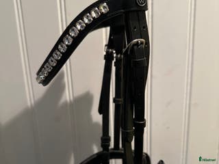 Träns hästutrustning till salu: Vackraste dressyrtränset - Annons 2