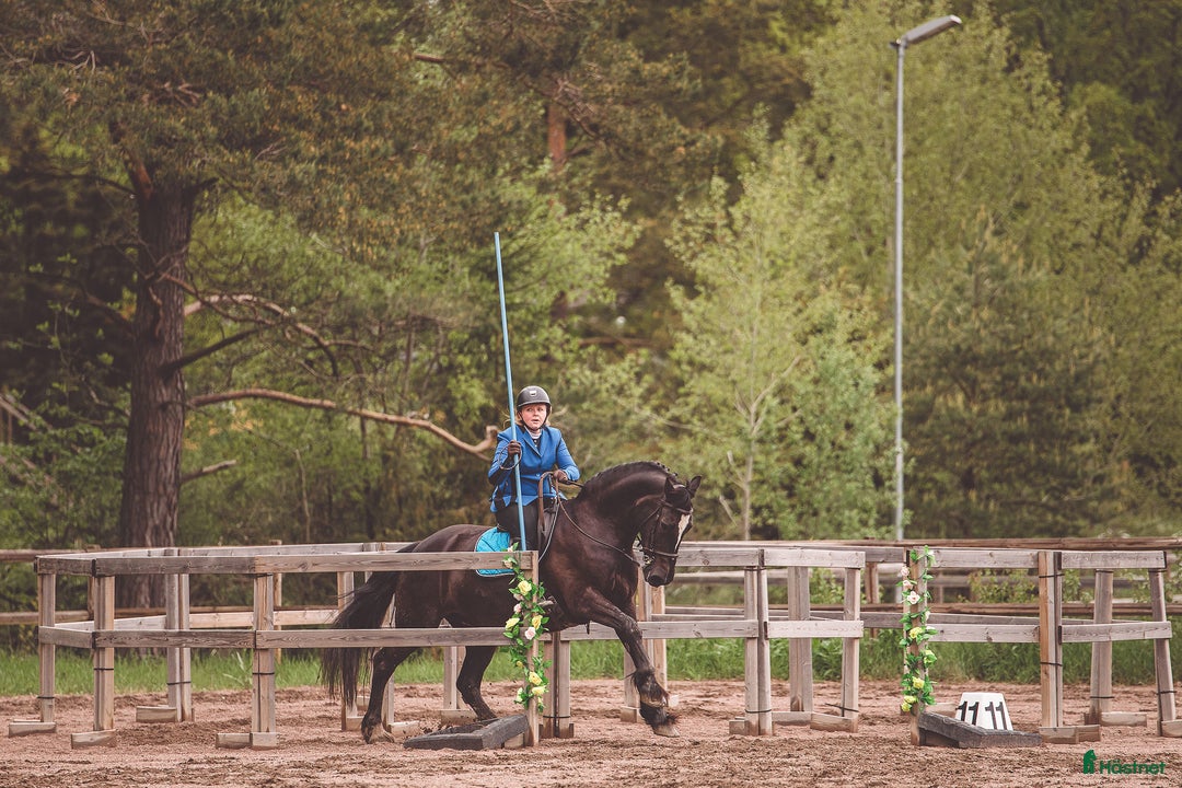  hästservice finnes: Plats för inridning/utbildning/tillridning  i Uppsala - Annons 3
