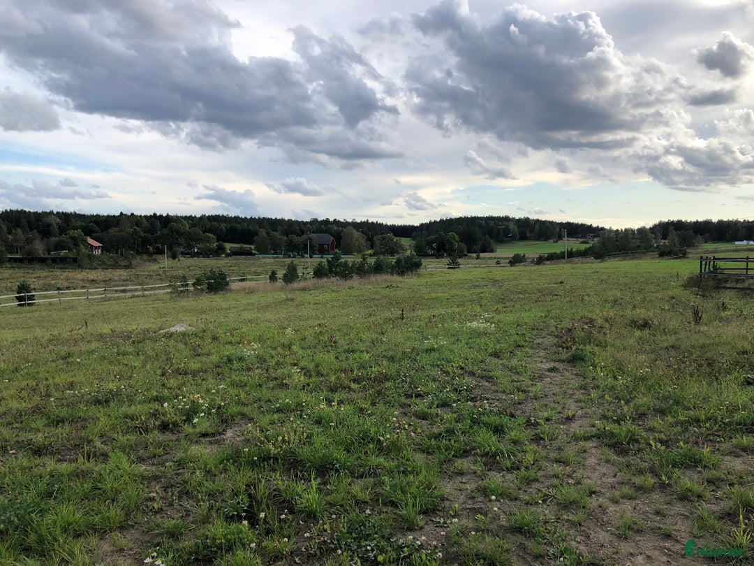  stallplats finnes: Plats i lösdrift i Vittinge - Annons 7