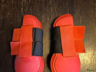 Benskydd hästutrustning Shettis benskydd i Strömsnäsbruk - Annons 6