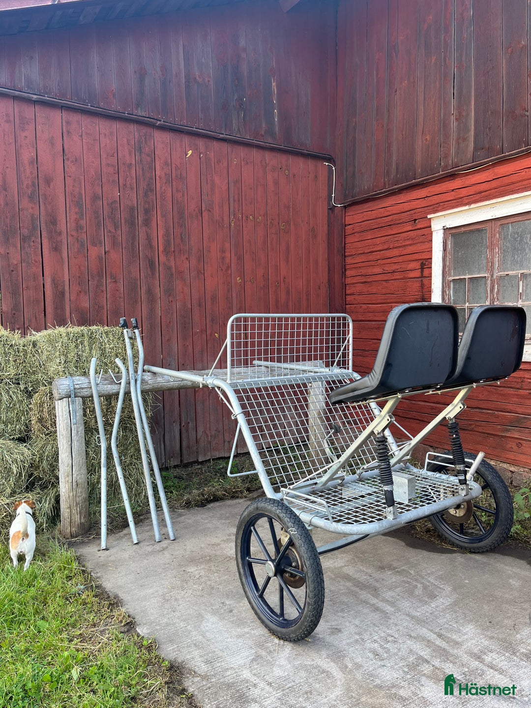 Körvagnar körning till salu: Inkörningsrockard Troed  i Uppsala - Bild 4