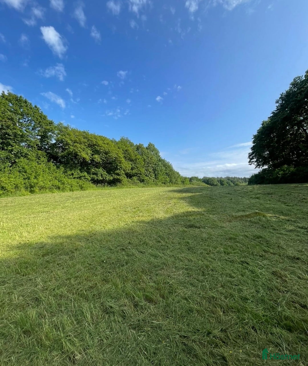 Allround hästar sökes: Söker trygg valack  i Onsala - Annons 5