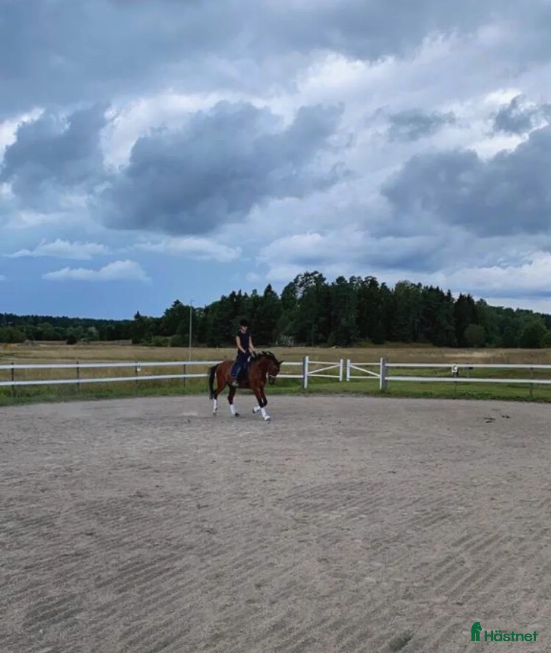  stallplats finnes: 3 boxplatser finnes i mysigt stall  i Riala - Annons 4