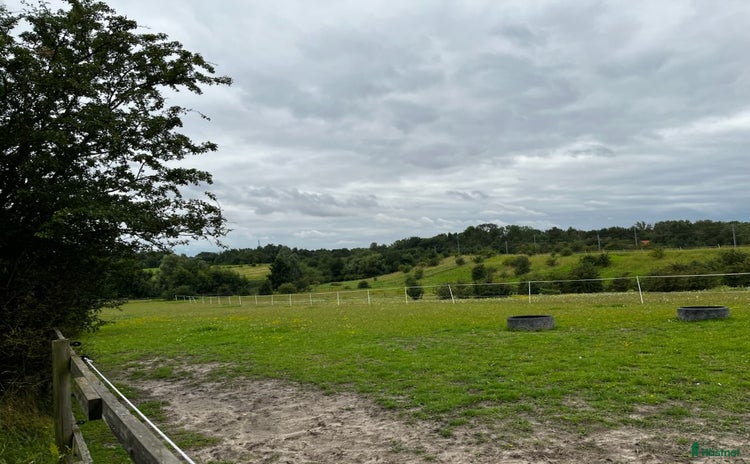  stallplats i Lund - Annons 3