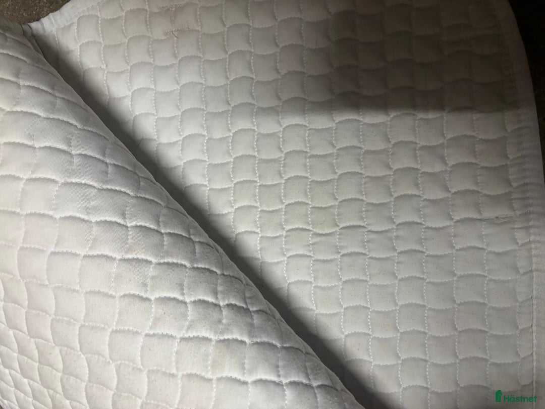 Schabrak & Vojlockar hästutrustning till salu: Schabrak  i Tomelilla - Annons 2