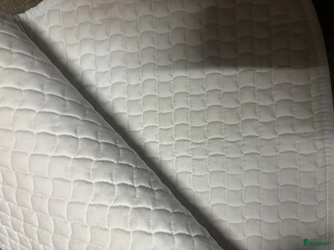 Schabrak & Vojlockar hästutrustning till salu: Schabrak  i Tomelilla - Annons 2