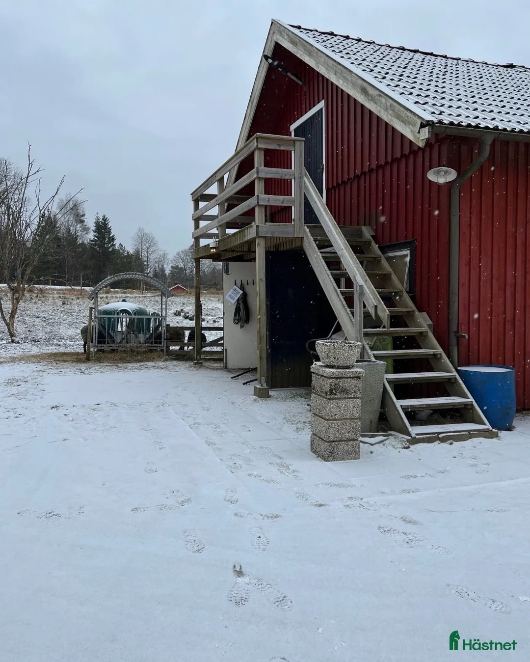  stallplats finnes: Lösdrift och stall finnes  - Annons 3