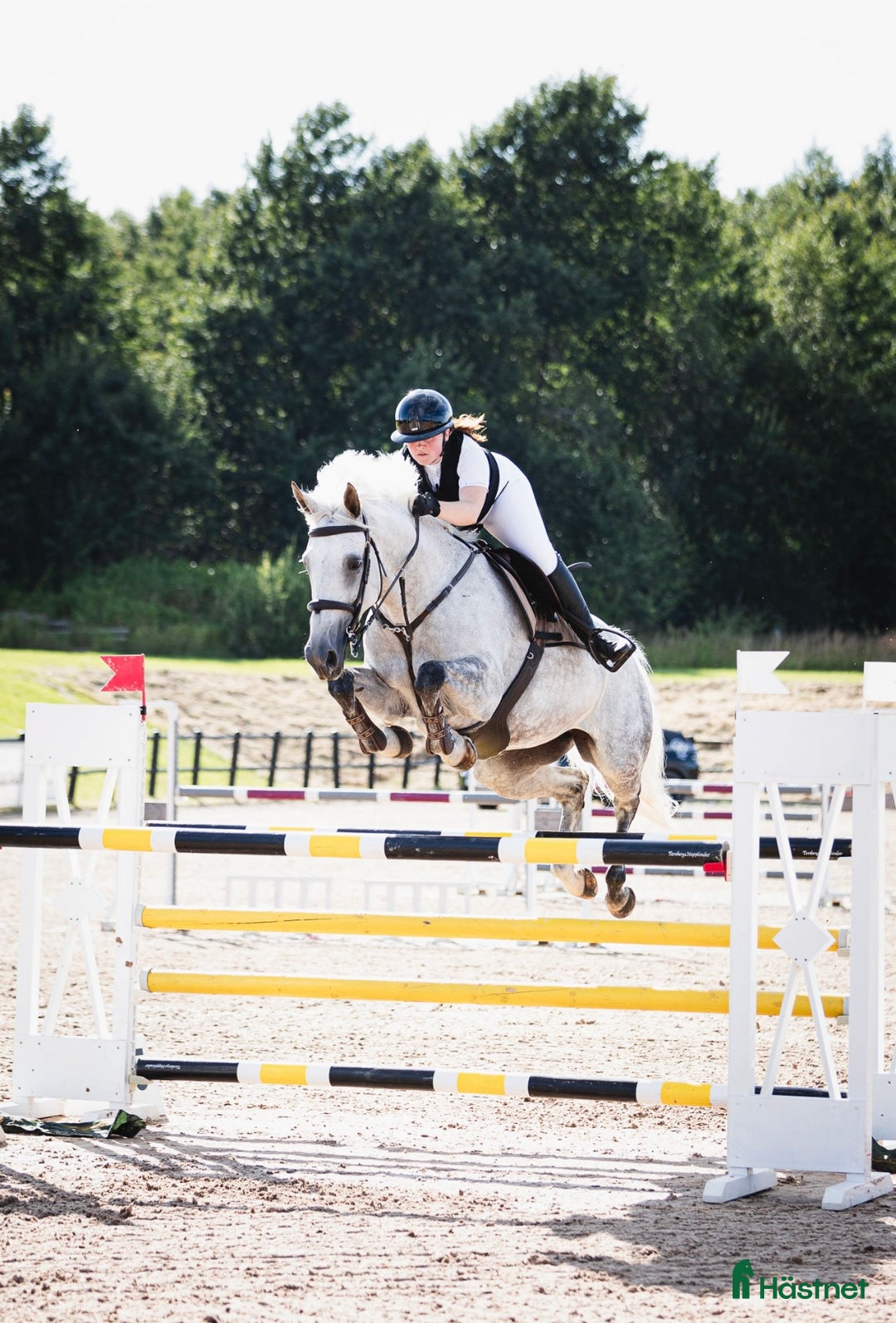 Hoppning hästar till salu: Fantastiskt sto tävlad 135 cm, Falsterbo, elmia  i Borås - Annons 1