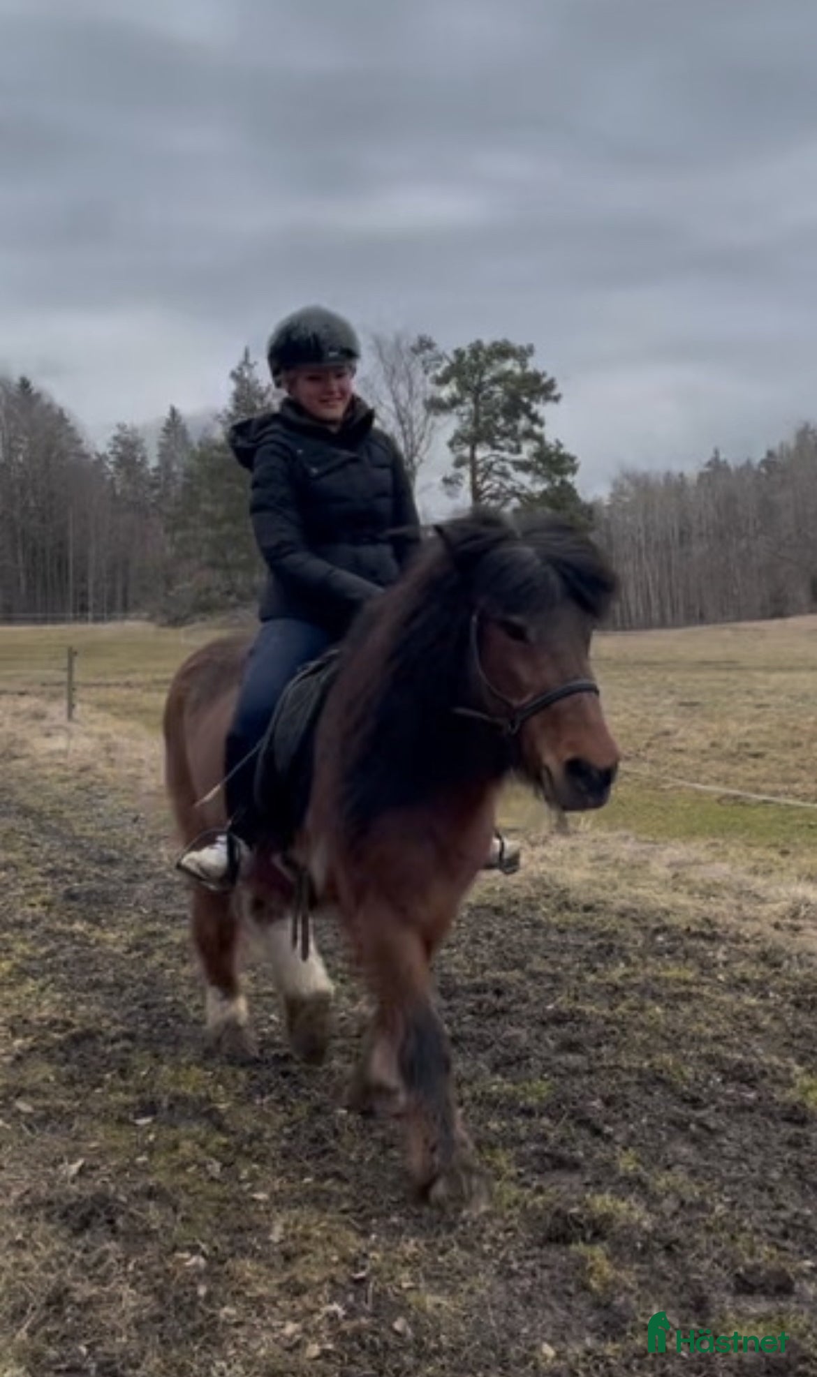 Allround hästar sökes: Söker allround bästa vän💖 - Annons 3