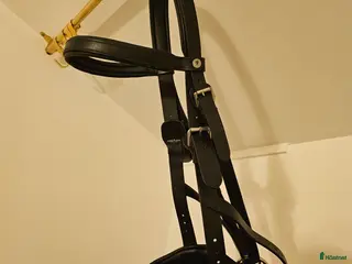 Träns hästutrustning Kapson svart stl full i Karlskrona - Annons 11