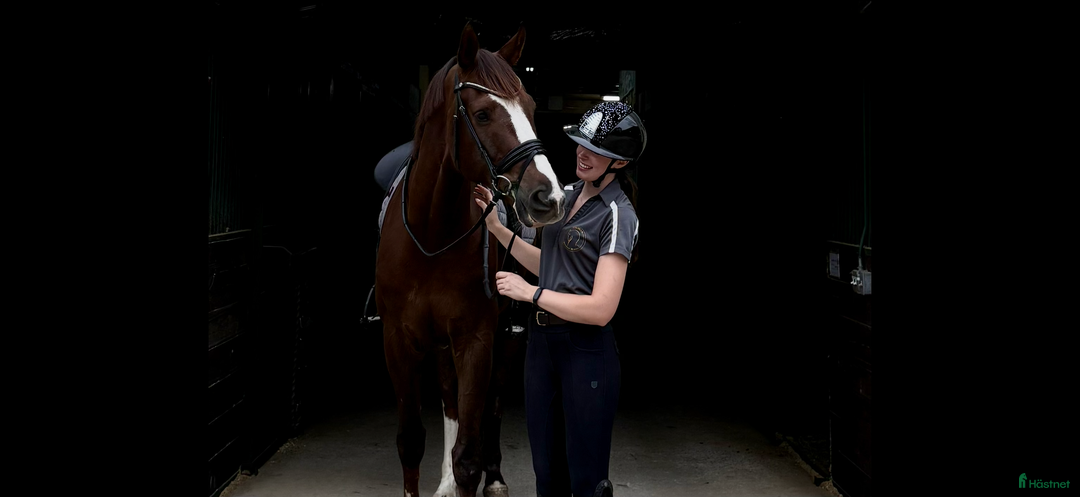  hästservice finnes: Plats för inridning, utbildning & elever i Göteborg - Annons 2