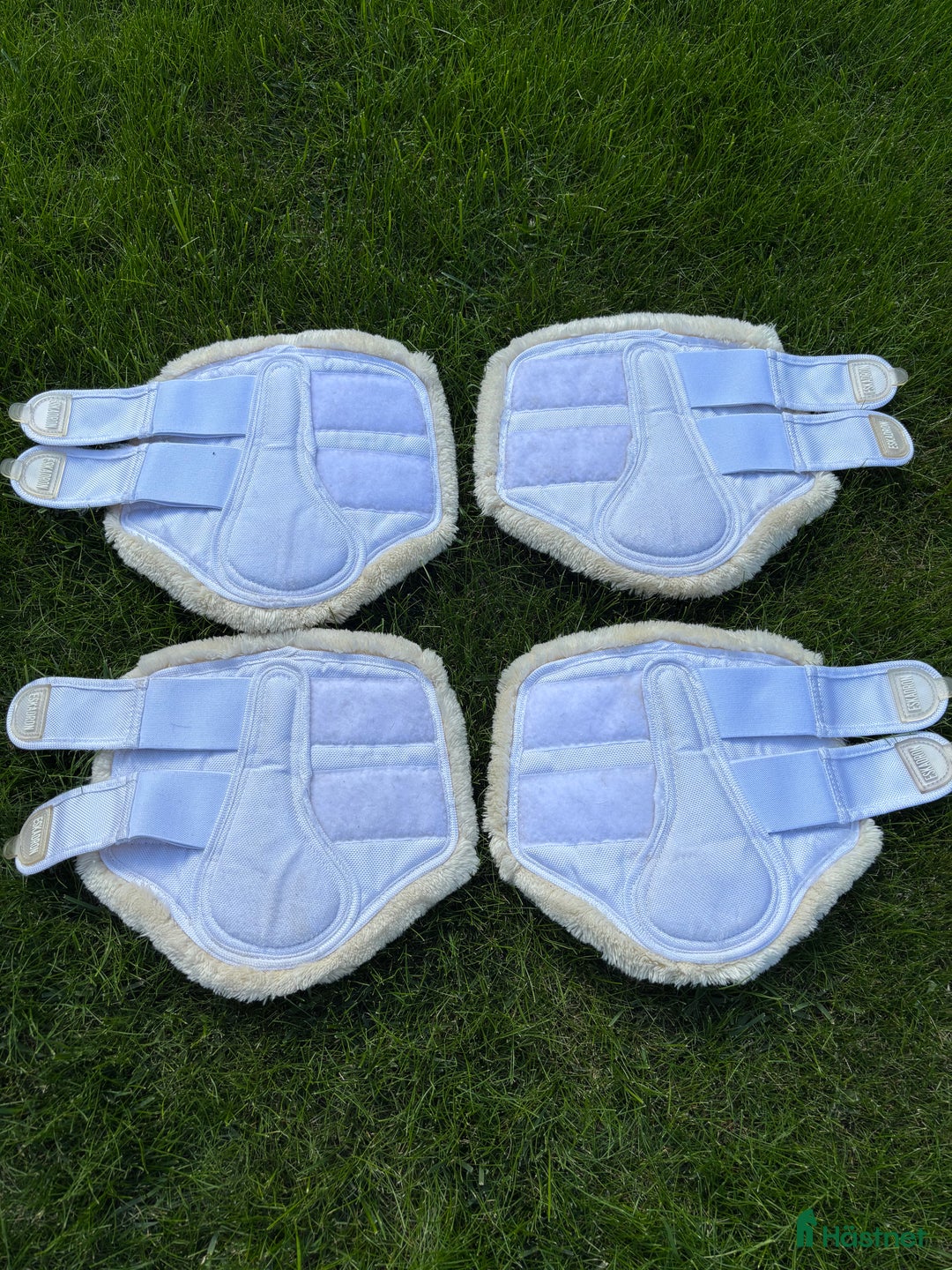 Benskydd hästutrustning till salu: Eskadron damasker i Saltsjö-Boo - Annons 1