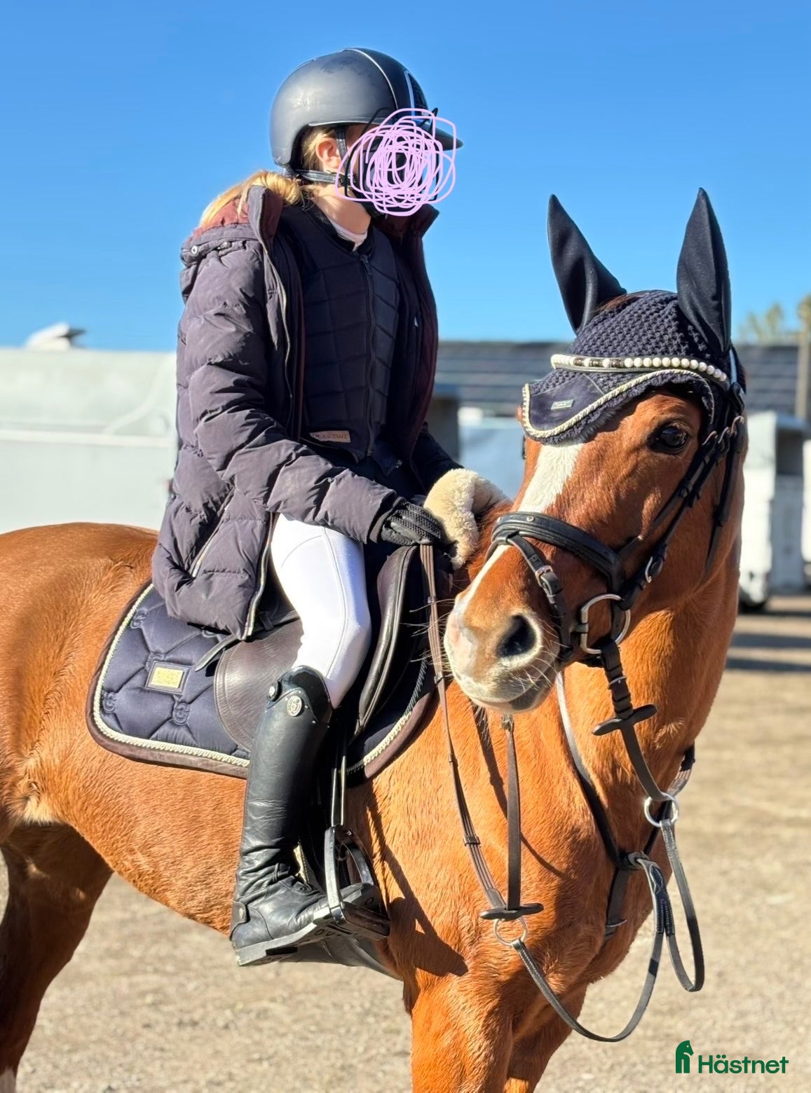  hästar En diamant till ponny - Annons 1
