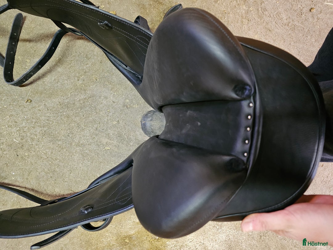 Sadlar hästutrustning till salu: Super fin antares signature  i Vetlanda - Annons 2