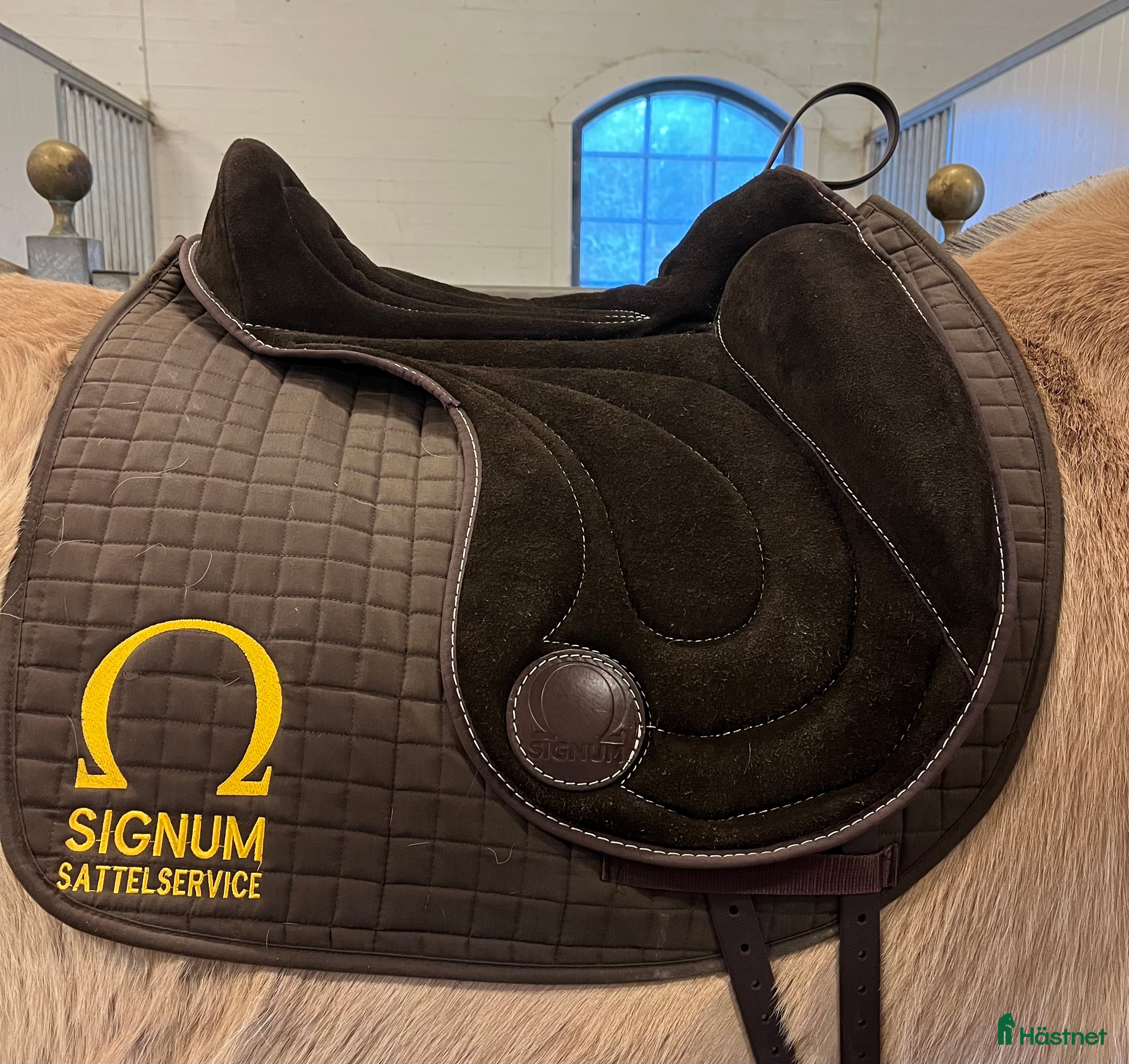 Sadlar hästutrustning Signum Omega L mörkbrun  - Annons 16