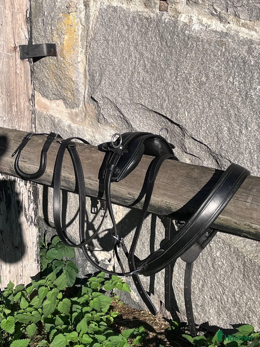 Körselar körning till salu: Bröstsele - Annons 1