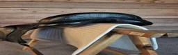 Sadlar hästutrustning till salu: Morris & Nolan dressyrsadel 16,5" bom 30 – Svart - Annons 3