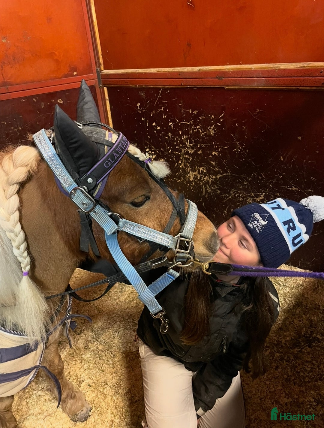 Allround hästar till salu: Gläntans Dacar i Mora - Annons 7