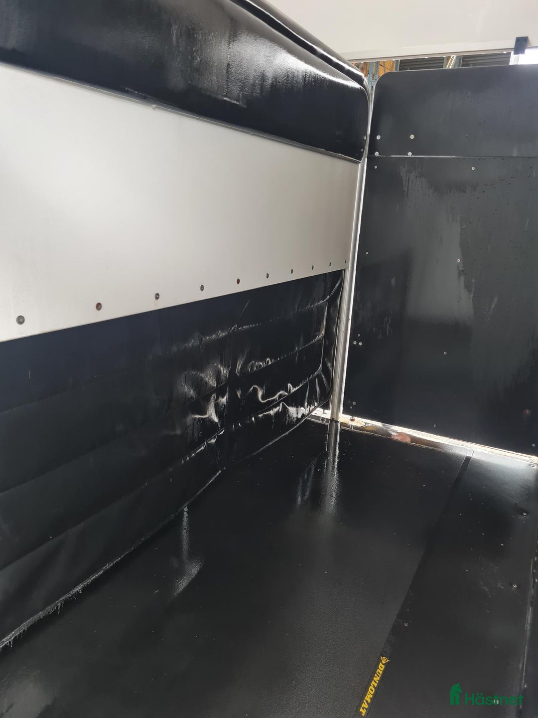 Hästtransporter  fordon & transport till salu: UME B60 - Årsmodell 2021 i Vikingstad - Annons 5