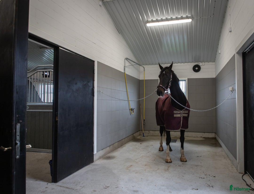  stallplats finnes: Stallplats Stall Folåsa i Vikingstad - Annons 4