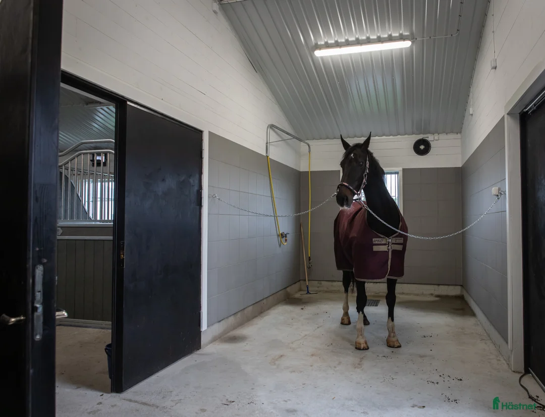  stallplats finnes: Stallplats Stall Folåsa i Vikingstad - Annons 4