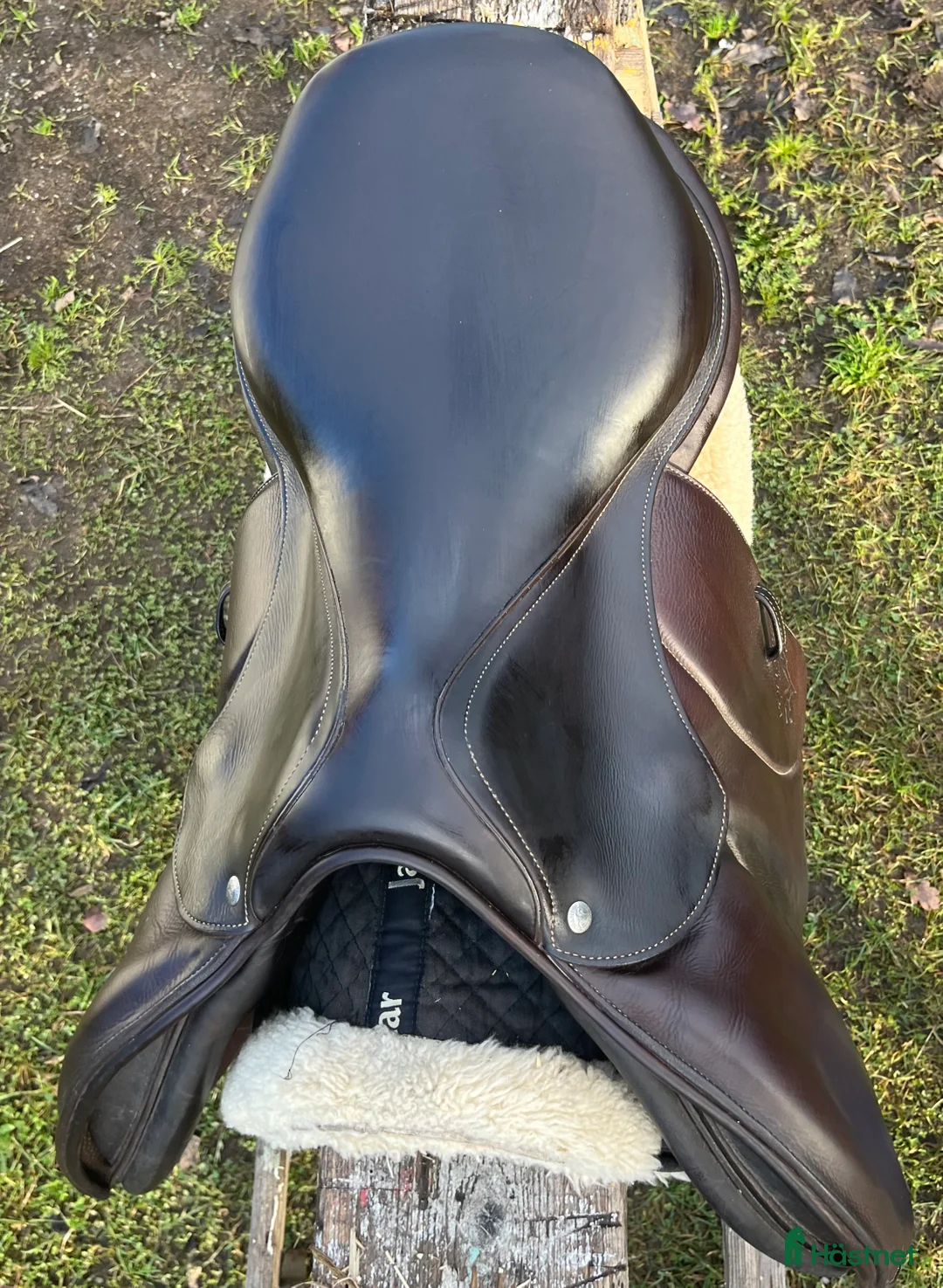 Sadlar hästutrustning till salu: Voltaire Palm Beach Sprangsal - Annons 7