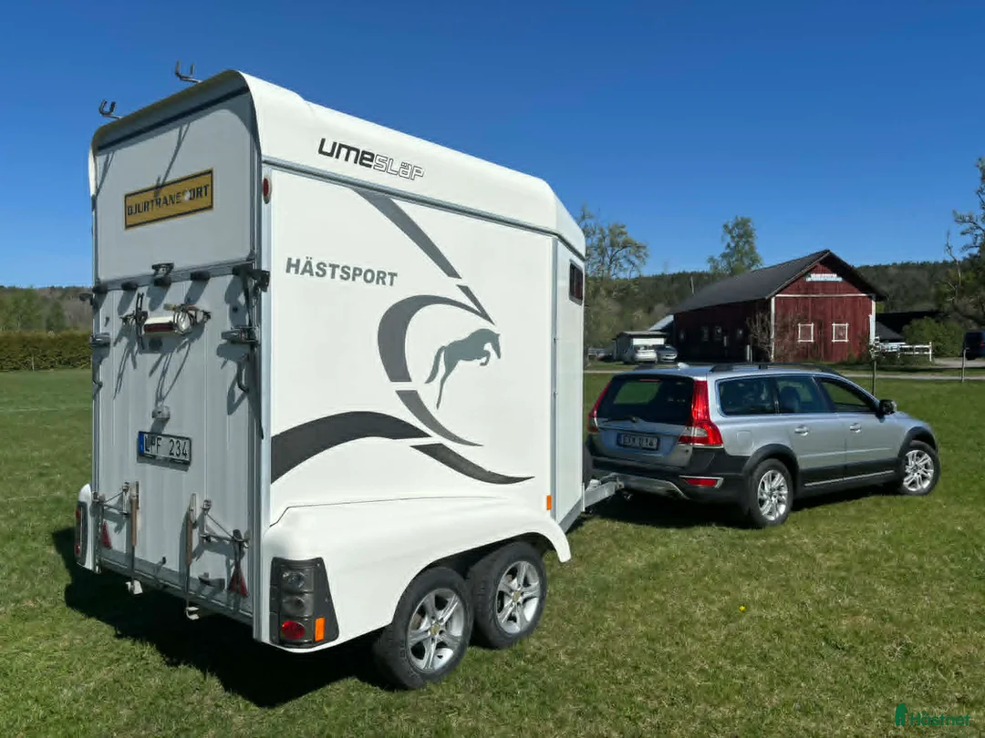 Hästtransporter  fordon & transport till salu: Umesläp BA35 2011 - Annons 14