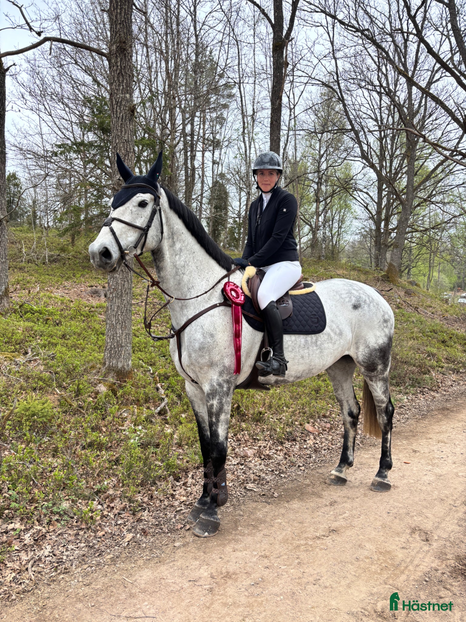  hästar Valack med potential för stora klasser 🌟 - Annons 8
