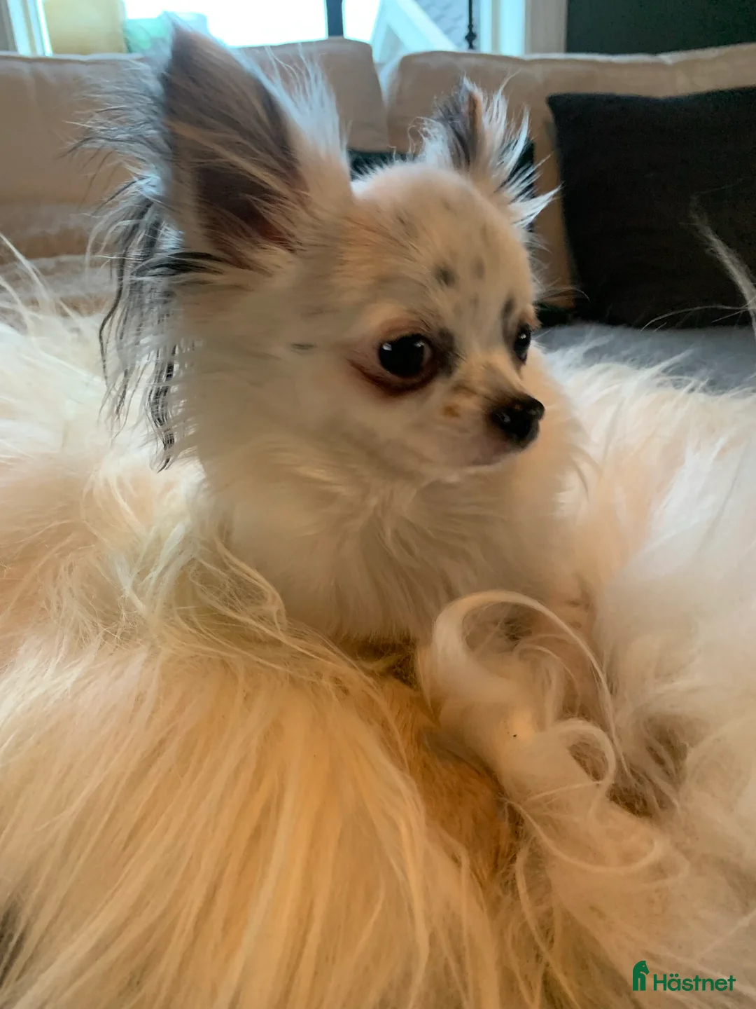 Galleribild {{count}}