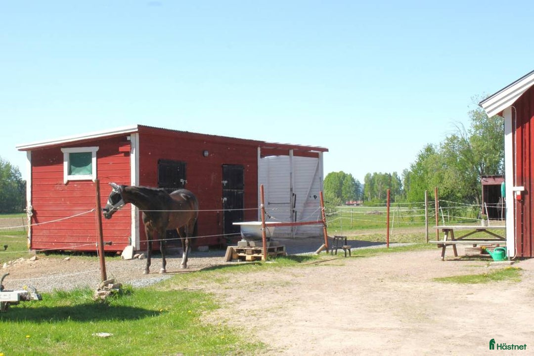  stallplats finnes: stallplats finnes i Borlänge - Annons 1