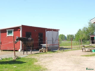 stallplats stallplats finnes i Borlänge - Annons 12