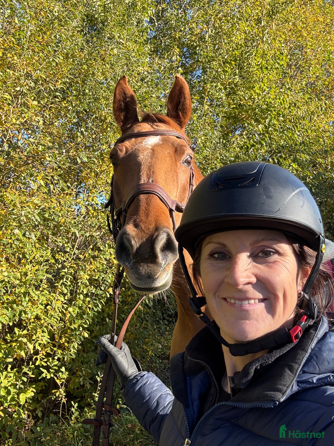 Galleribild {{count}}