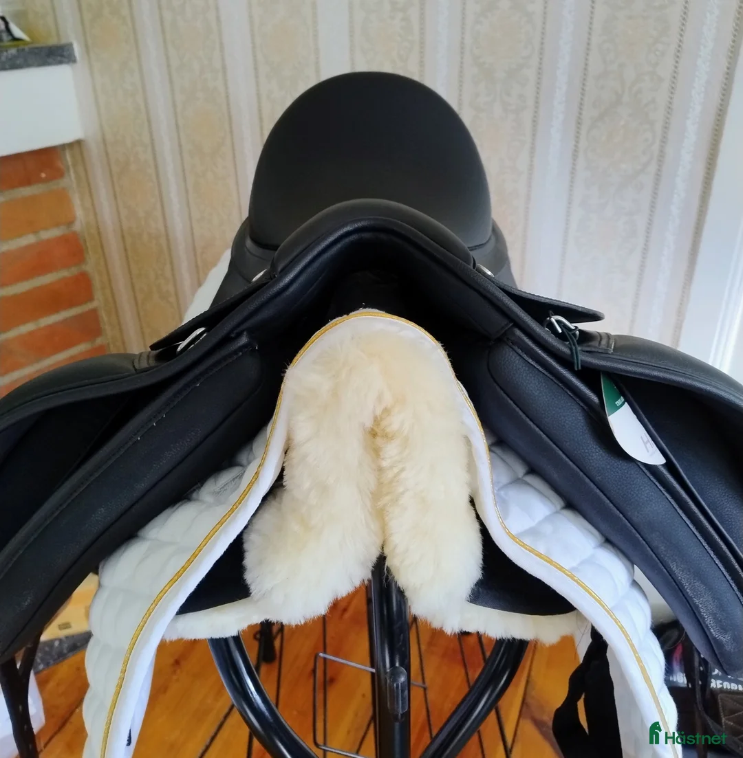 Sadlar hästutrustning till salu: NY Arena Dressyrsadel - Annons 6