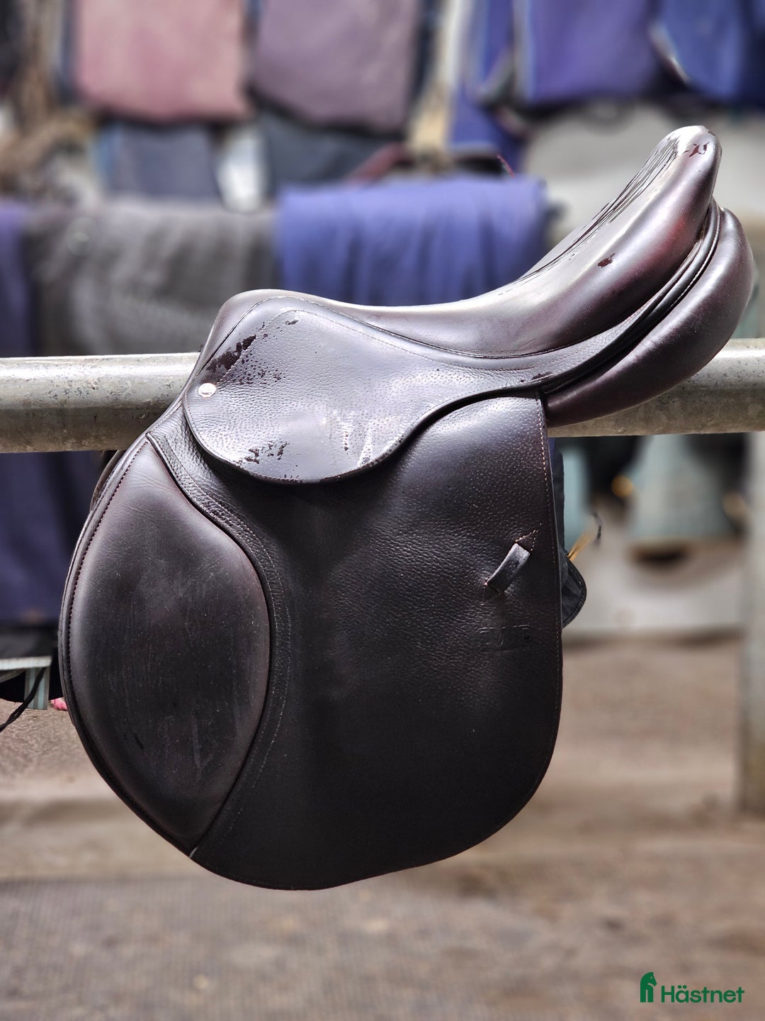 Sadlar hästutrustning till salu: Cwdsadel i Västerås - Annons 1