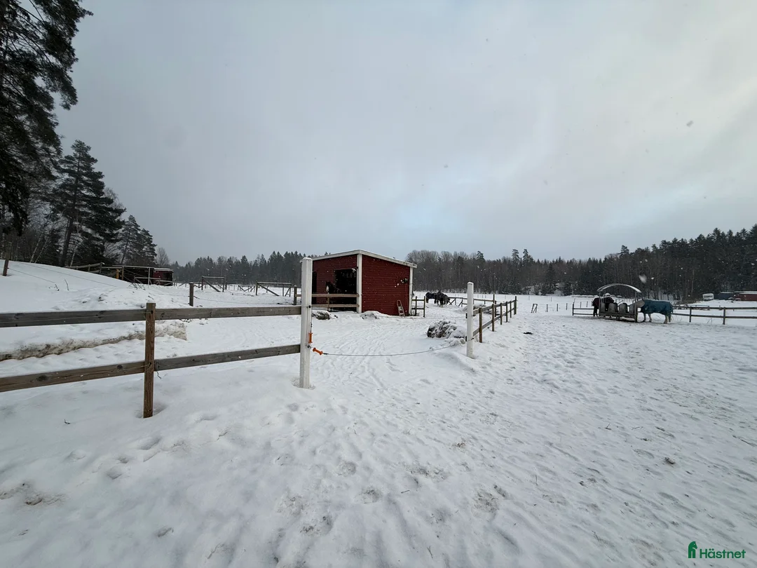  stallplats finnes: Lösdrift nära Södertälje  i Järna - Annons 6
