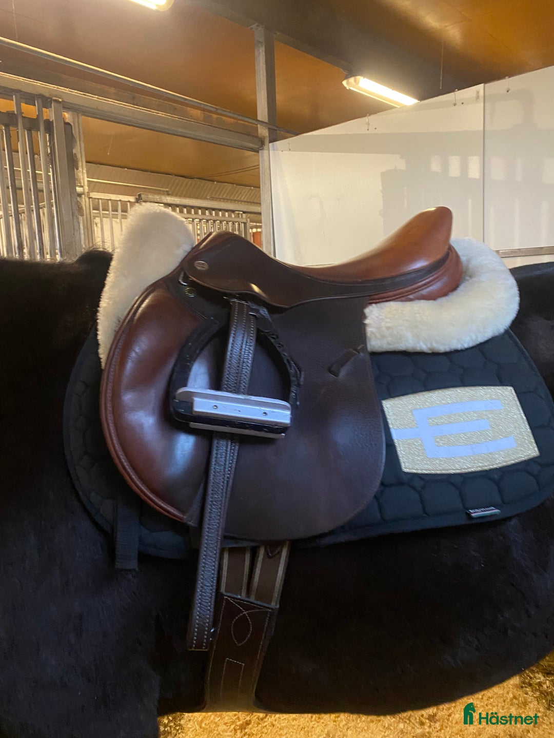 Schabrak & Vojlockar hästutrustning till salu: ‼️BYTER‼️ men kan tänka mig sälja i Stockholm - Annons 1