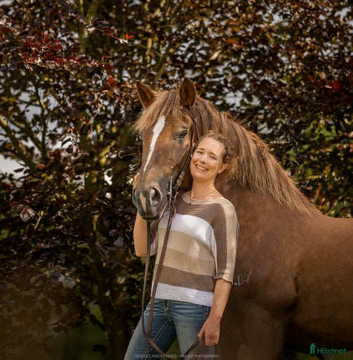 Galleribild {{count}}