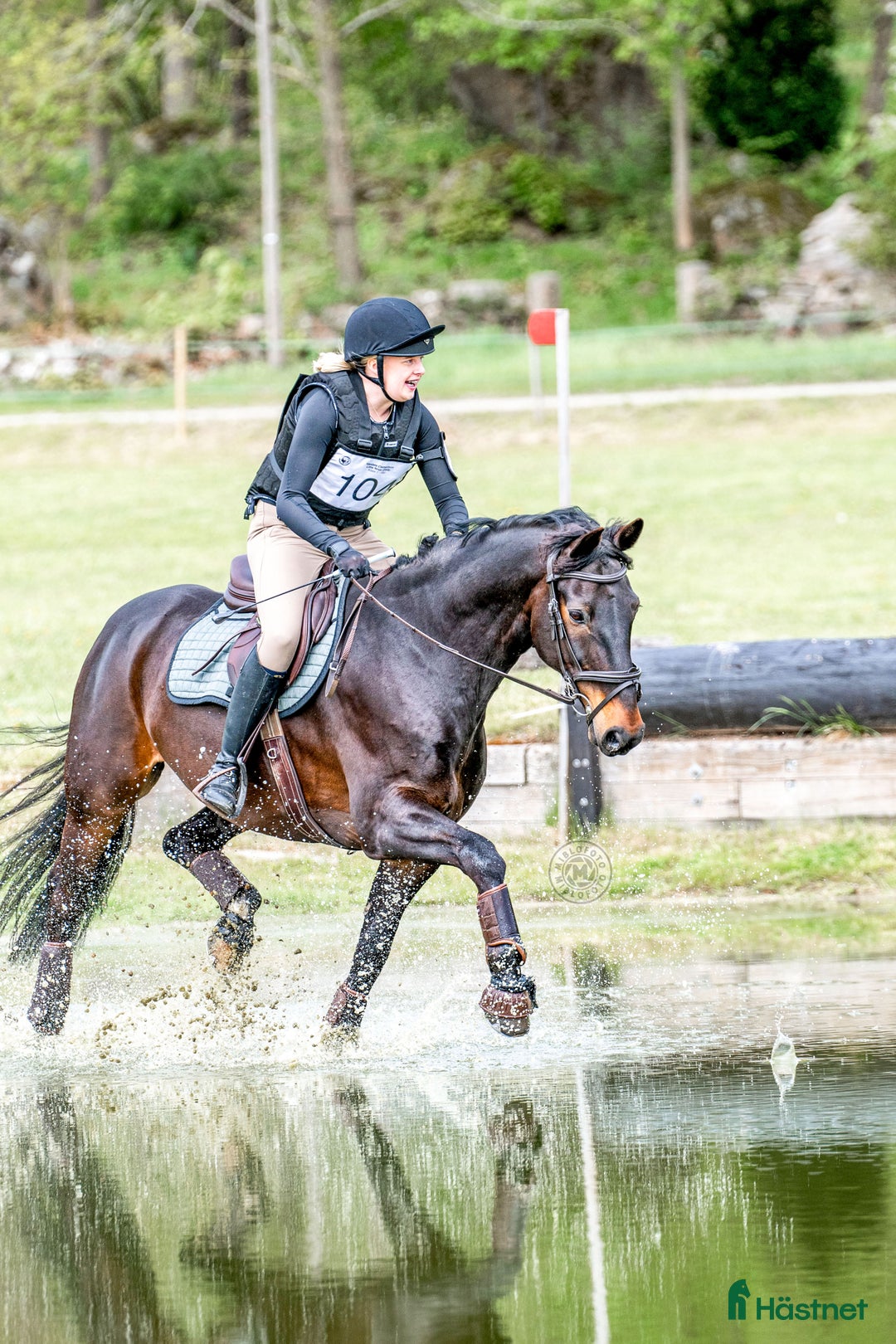 Körning hästar till salu: Supersnäll och trevlig valack!  i Nättraby - Annons 1