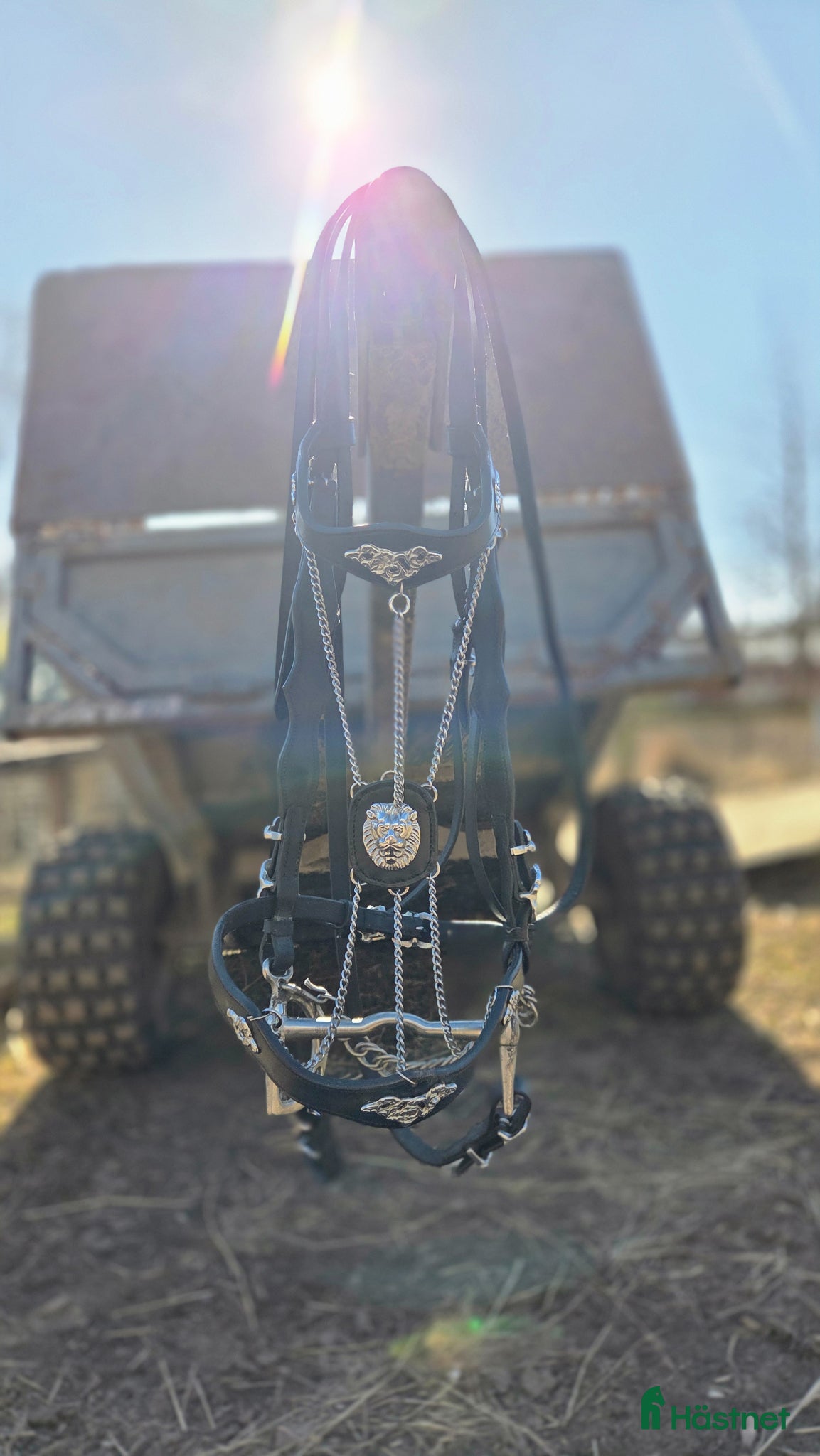 Träns hästutrustning Fint akademiskt träns - Annons 2