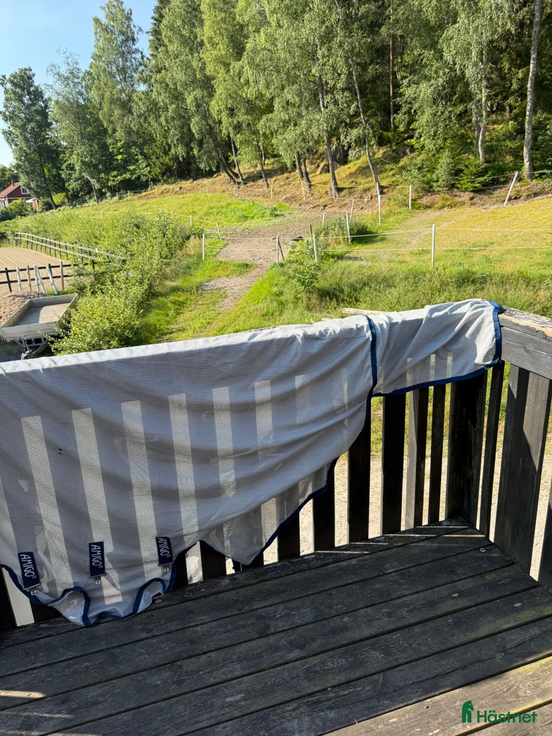 Täcken hästutrustning till salu: Amigo Bug Buster - Annons 2