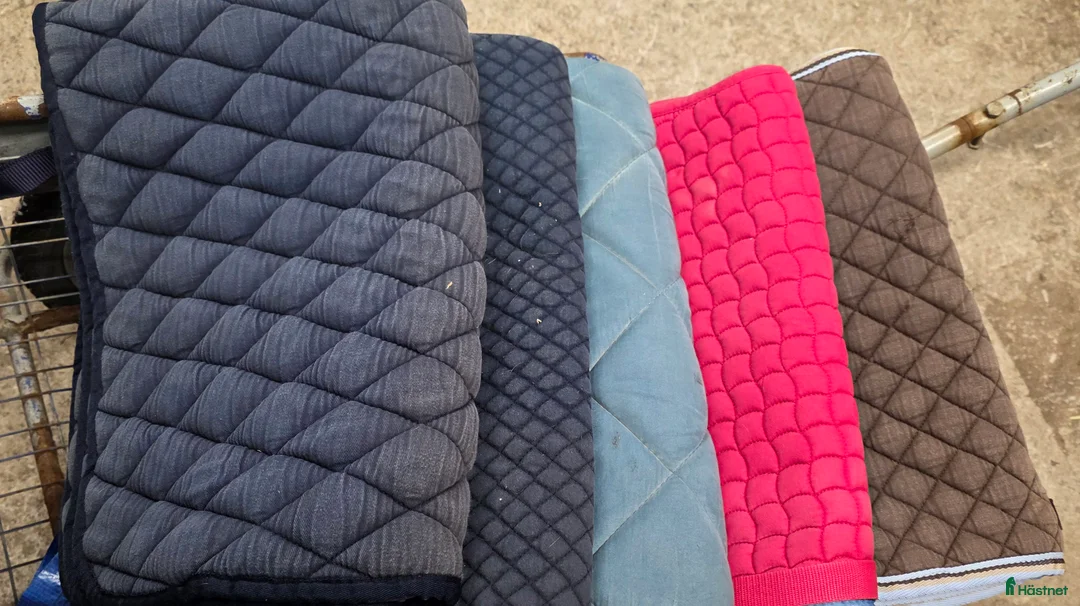 Schabrak & Vojlockar hästutrustning till salu: Massorvis med schabrak i Landvetter - Annons 5