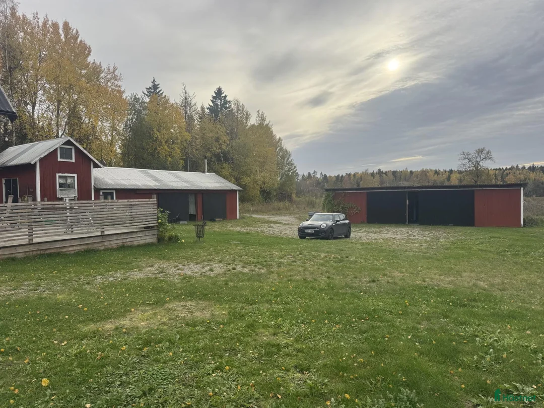  stallplats finnes: Lösdriftsstall med bete och verkstad uthyres - Annons 9