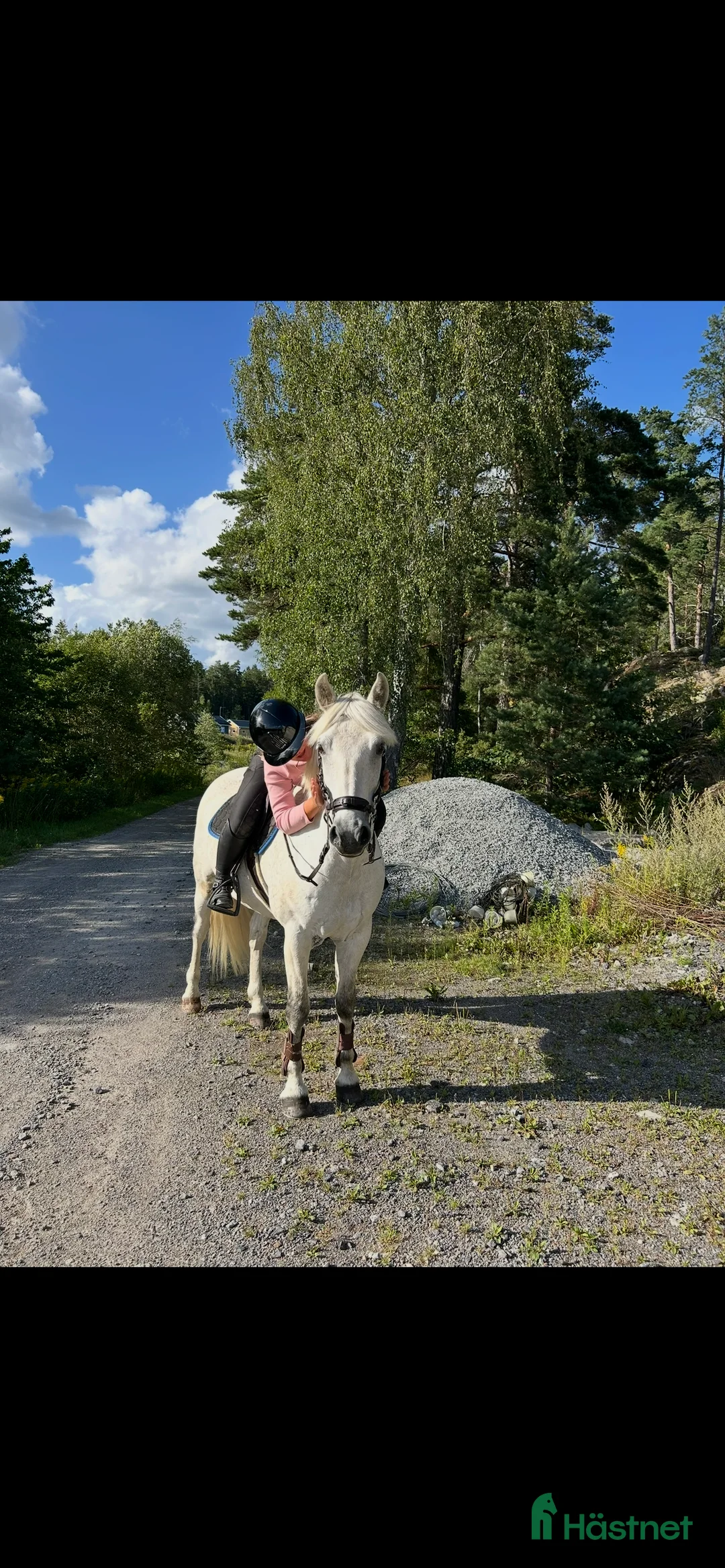 Sällskap hästar till salu: Älskad ponny söker ett nytt, tryggt hem i Södertälje - Annons 2