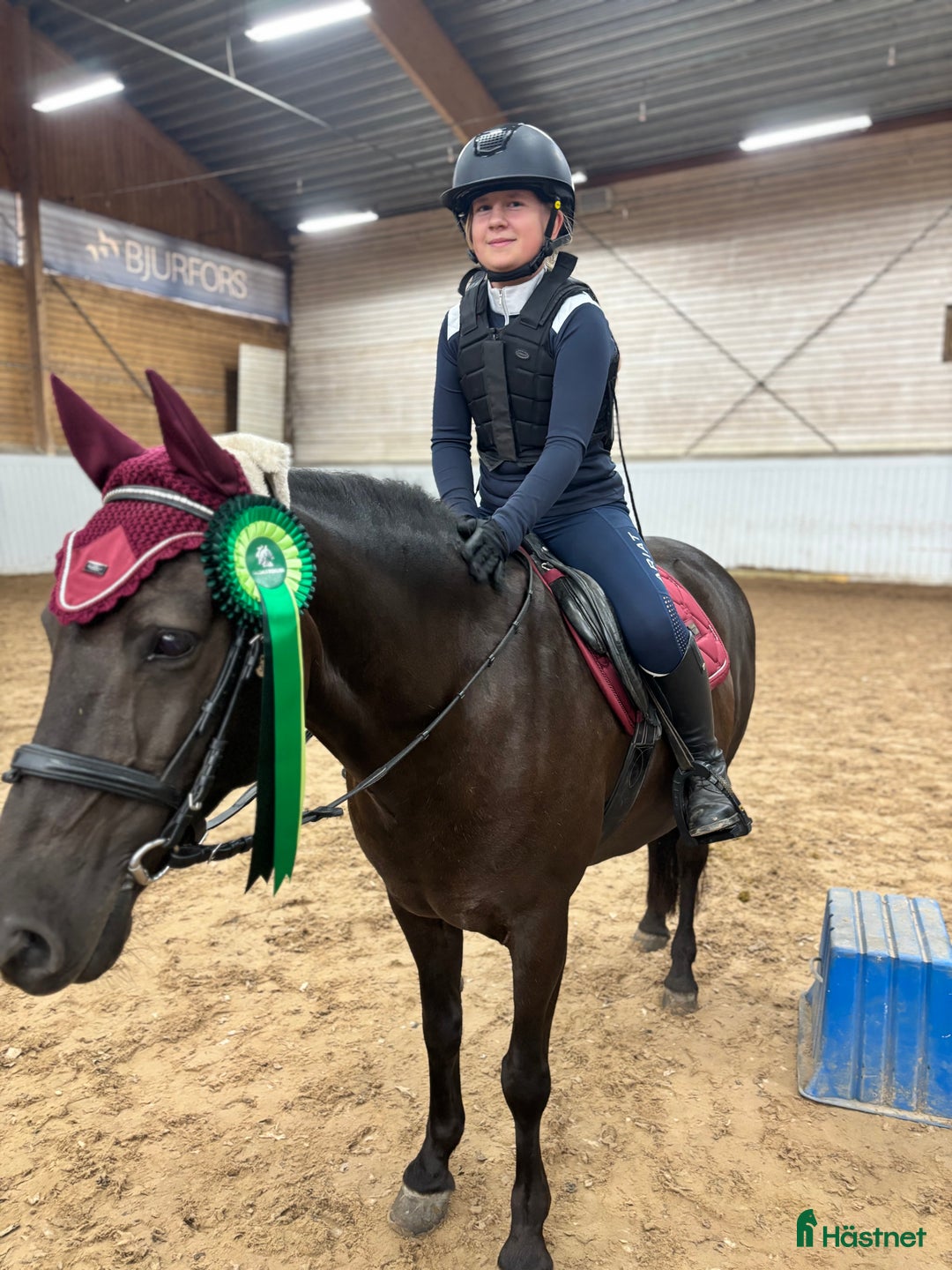 Hoppning hästar sökes: Medryttarponny sökes till 10 åring med ambitioner  i Billdal - Annons 4